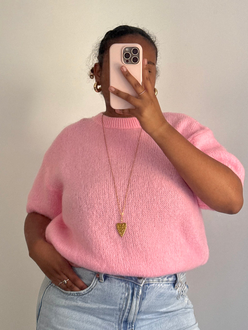 Pull Hortensia